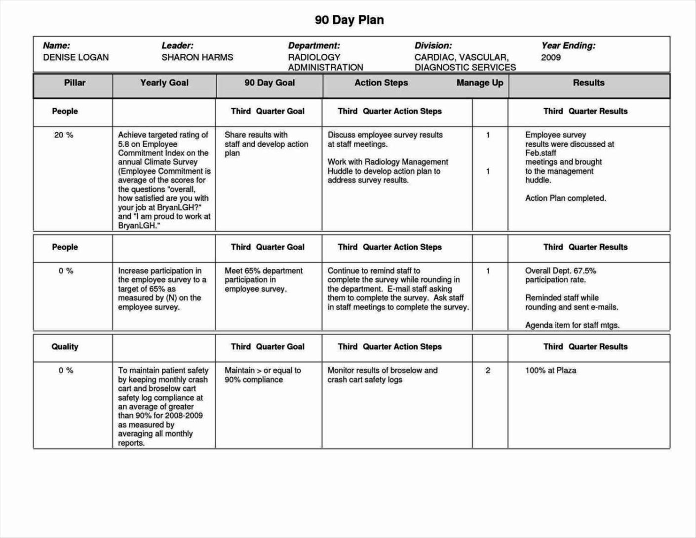 100 Day Plan Template Excel SampleTemplatess SampleTemplatess