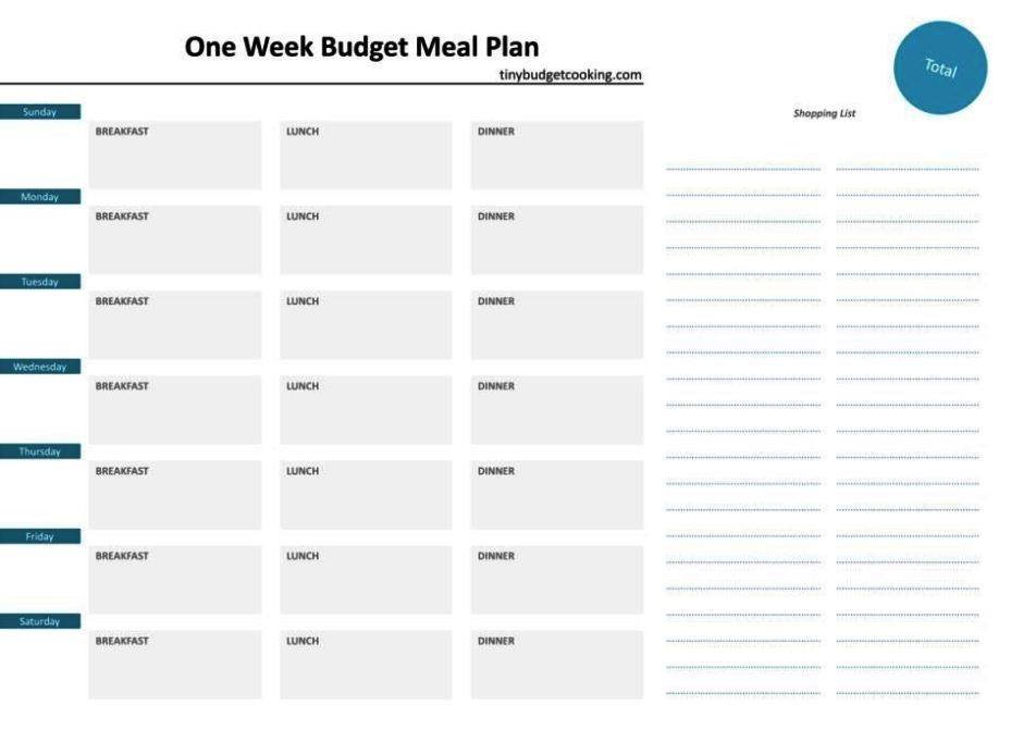 Two Week Budget Template SampleTemplatess SampleTemplatess