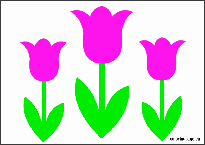 pin-on-gardening-terzo-tutorial-oramai-ci-ho-preso-gusto-tulipani-di