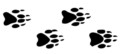 Animal Footprint Templates
