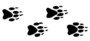 Animal Footprint Templates
