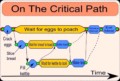 Critical Path Analysis Template