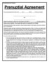 Premarital Agreement Template