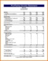 Pro Forma Financial Statement Template