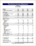 Pro Forma Income Statement Template Excel