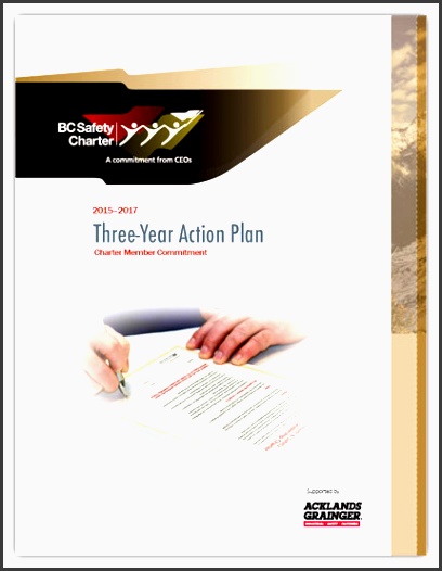 bcsc 2015 3yr action plan