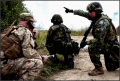 5+ Army Action Plan