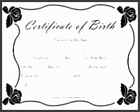 15 birth certificate templates word pdf template lab tearing blank njccg free printable blank baby birth certificates templates incredible certificate for school