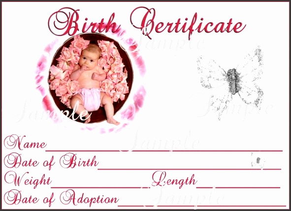 agenda templates example baby birth certificate template ehzb5 baby girl birth certificate template videotekaalex tk an image part of baby birth certificate template