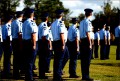 8 Basics Of Police Report