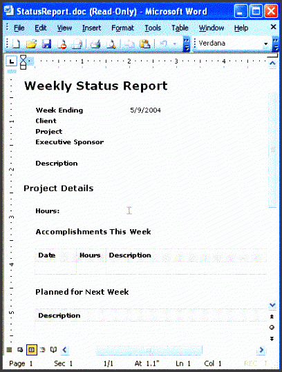 status report document