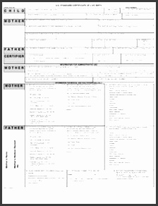 15 birth certificate templates word pdf template lab