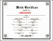 8 Birth Certificate Template In Pdf