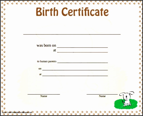 birth certificate template 31 free word pdf psd format