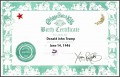 4+ Birth Certificate Template Just for Fun