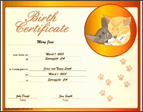 birth certificate cat
