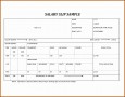 6+ Blank Payslip Template