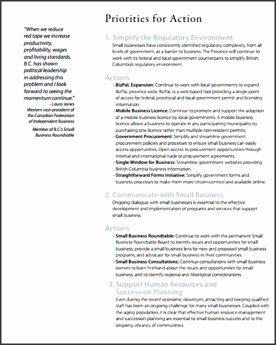 business development action plan