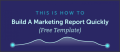 8 Business Marketing Report Template