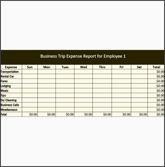 employee business expenses