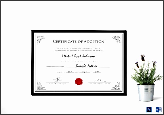 adoption birth certificate template