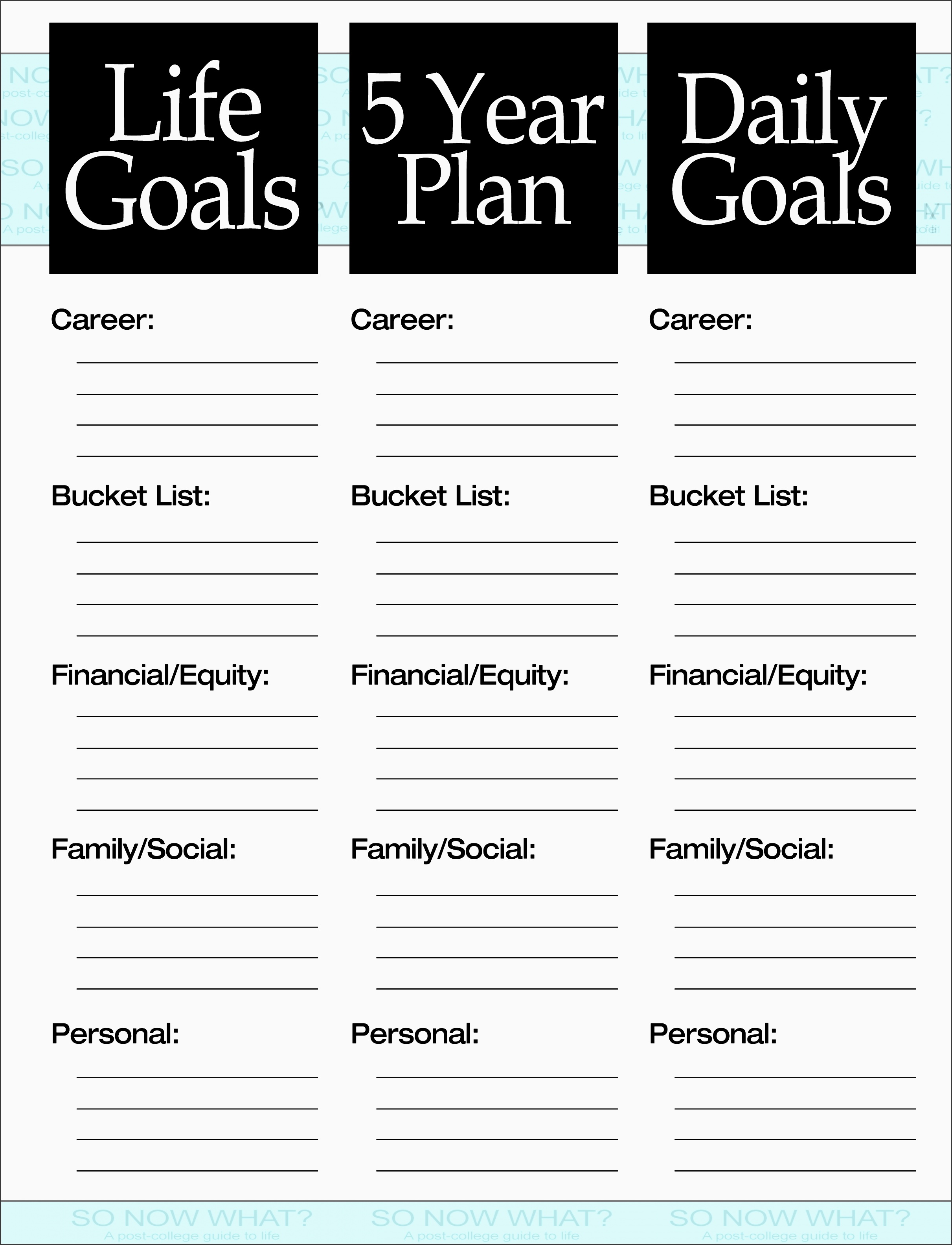 the 3 steps to a 5 year plan so now what