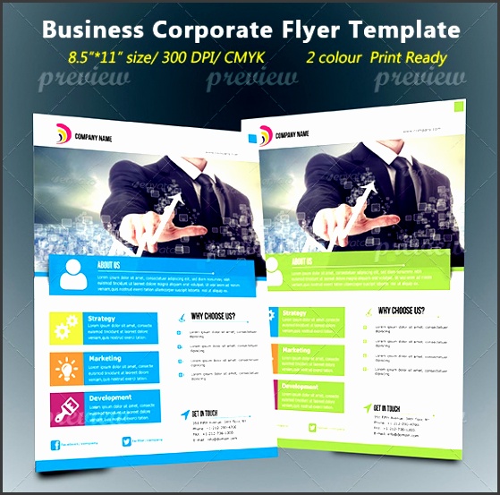 codegrape 4843 corporate business flyer small