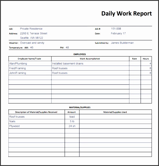 daily report template word