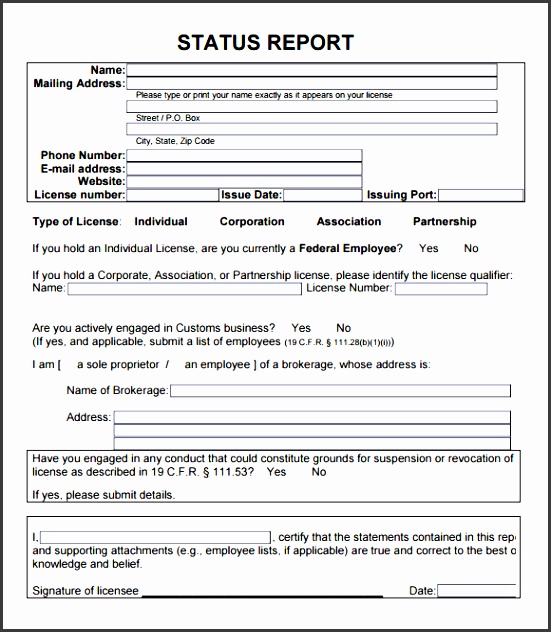 status report format