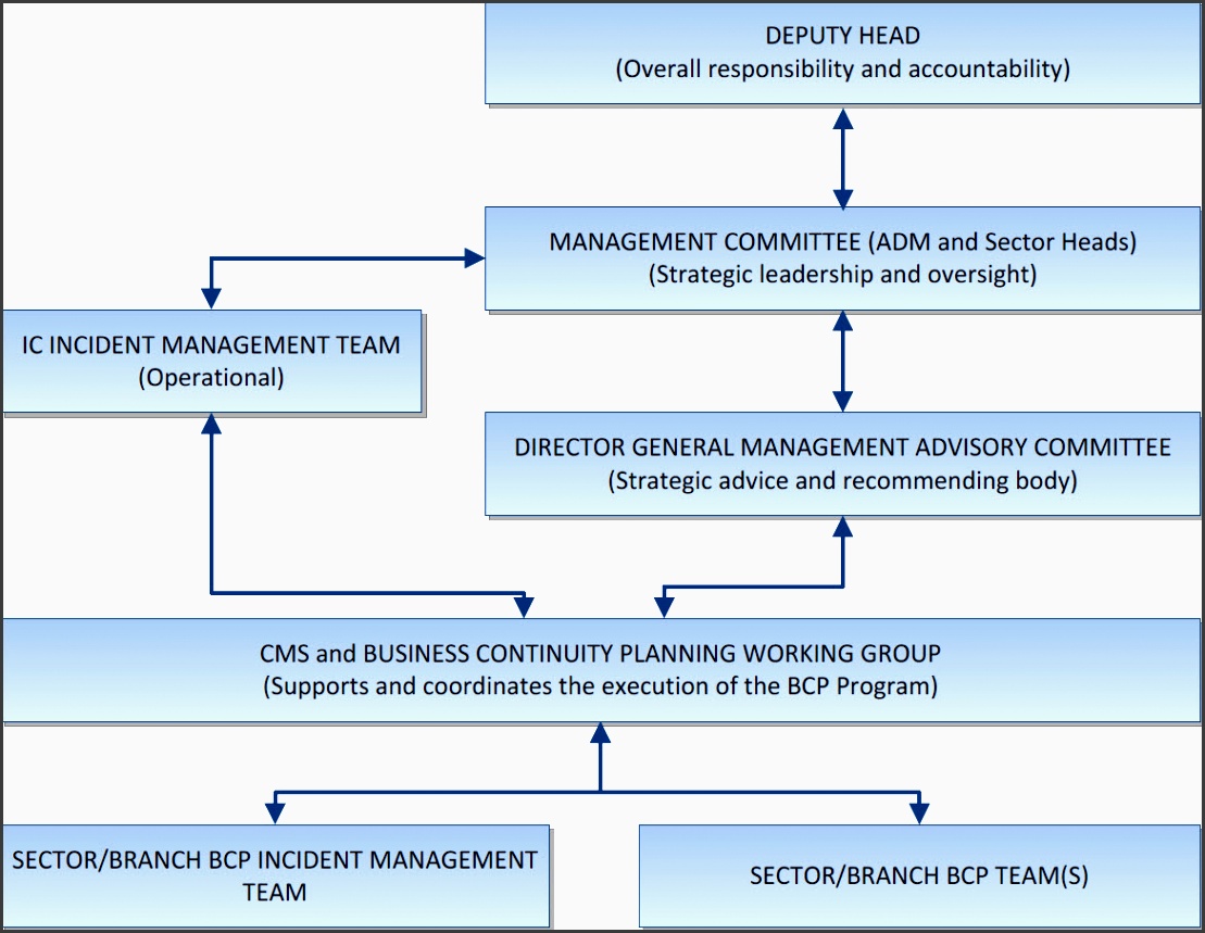 figure 1 ic bcp program governance structure