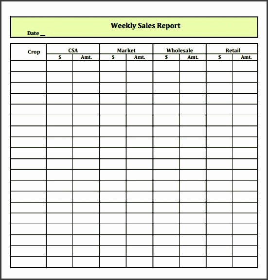 sample weekly sales report template