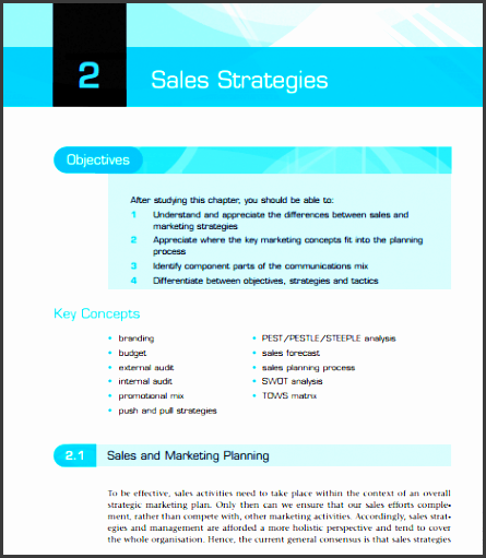sales plan example 25 46