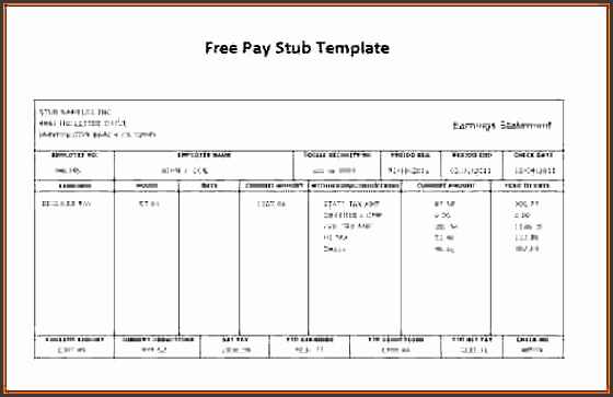 free paystub template free pay stub template