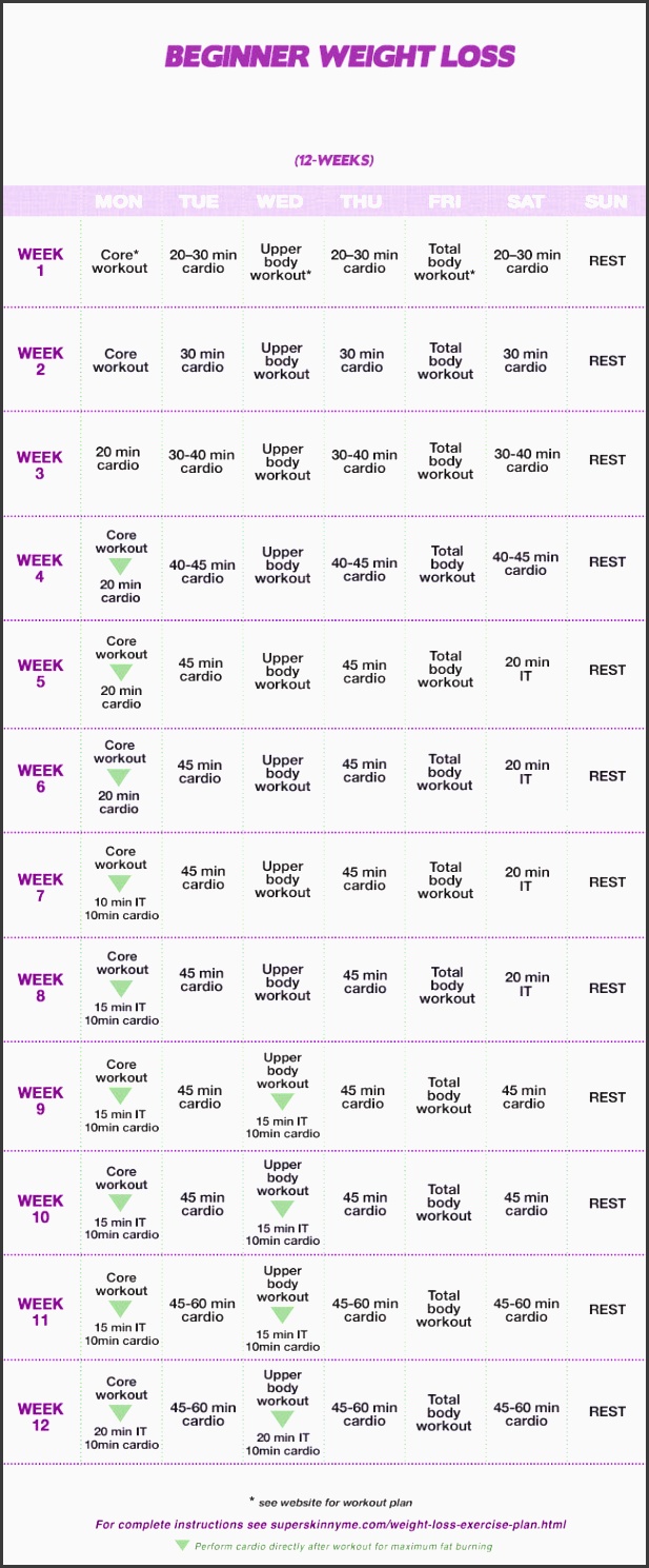 12 week beginner weight loss workout plan