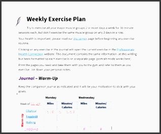 weekly exercise planner