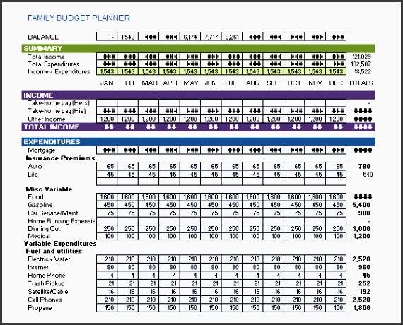 family bud template excel 2007