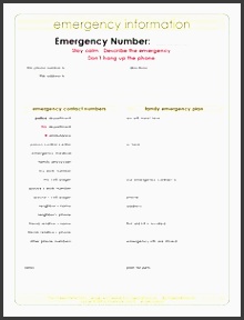 printables for your emergency binder camping safety pinterest emergency binder binder and genealogy