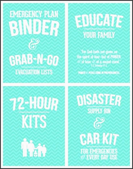 family disaster plan pdf template you fill it out with your own family s personal information prep homestead camp pinterest disaster plan emergency