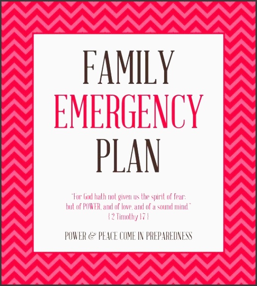 free printables to create a family emergency plan binder