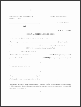 petition of divorce legal pleading template