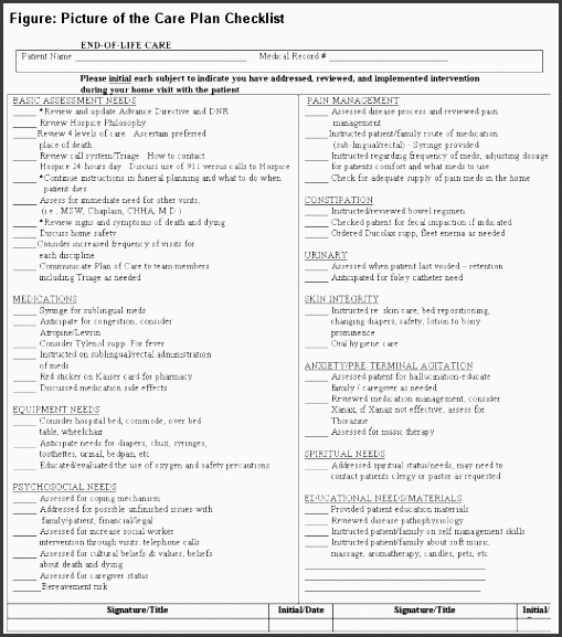 picture of the care plan checklist form