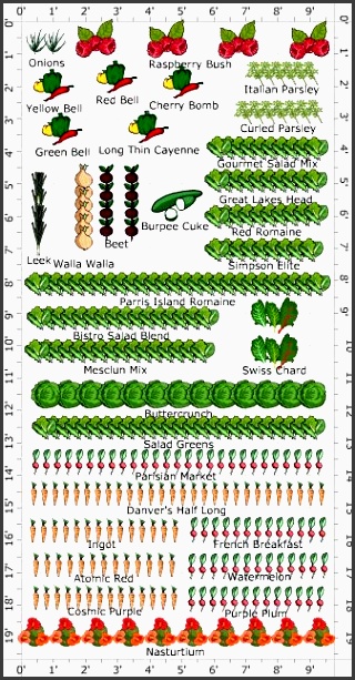 garden plan 2013 salad garden