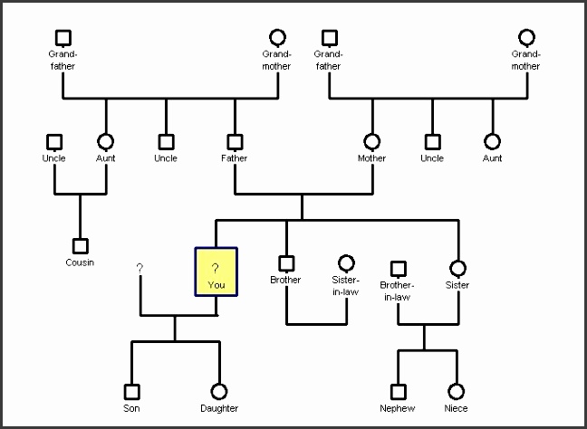 genogram template for a family