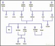 8 Genogram Template Ms Excel