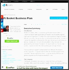 t basket business plan sample