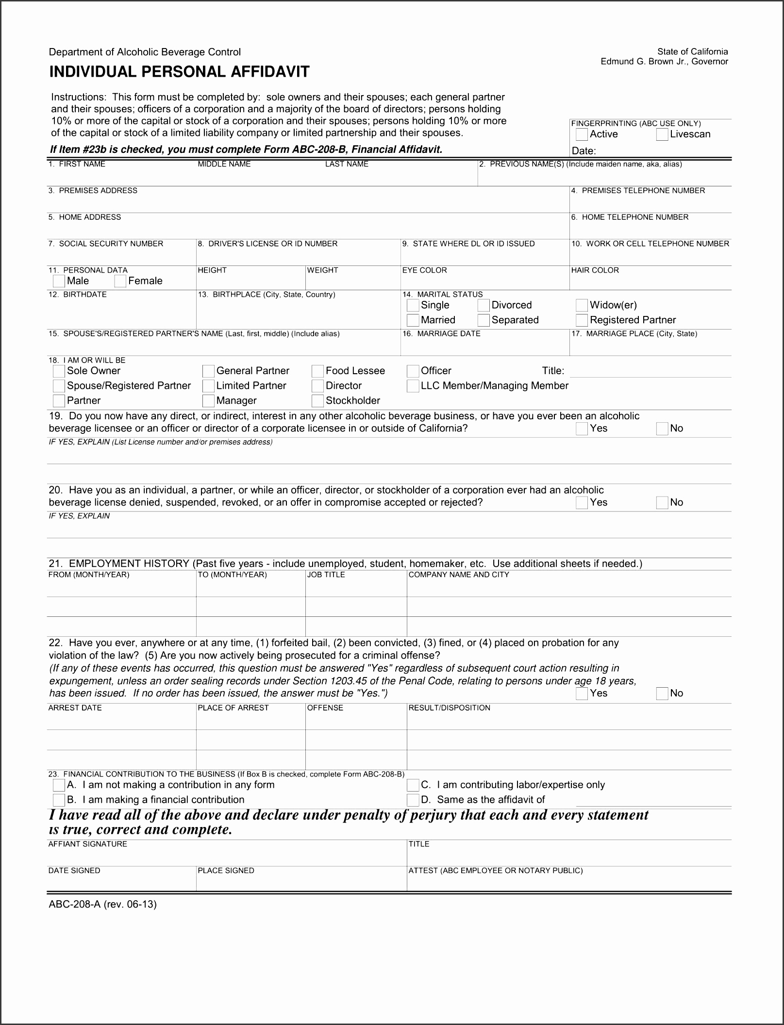 individual personal affidavit form sample