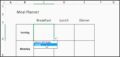 6+ How to Make Monthly Meal Planner In Excel
