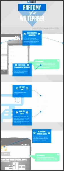 the anatomy of an excellent whitepaper infographic
