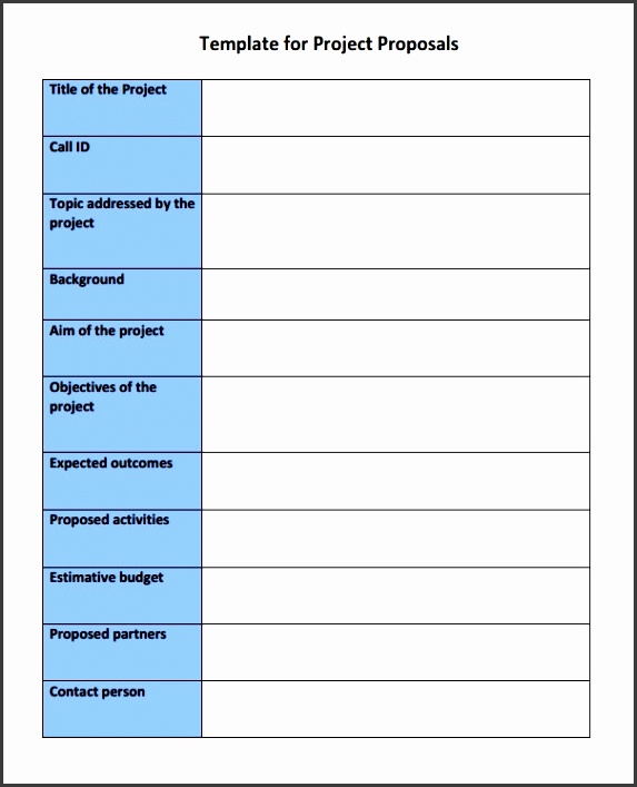 new project proposal template