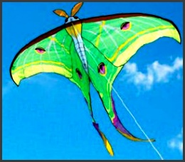 the luna moth kite is a superb example of kite design imitating the beautiful insects of our world